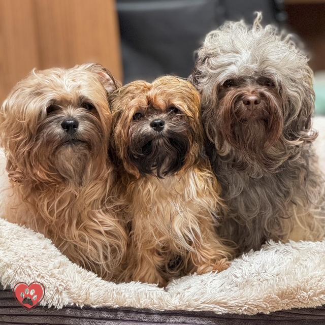 8D7E1C27-E215-4A19-B142-BE47B3B70CEE